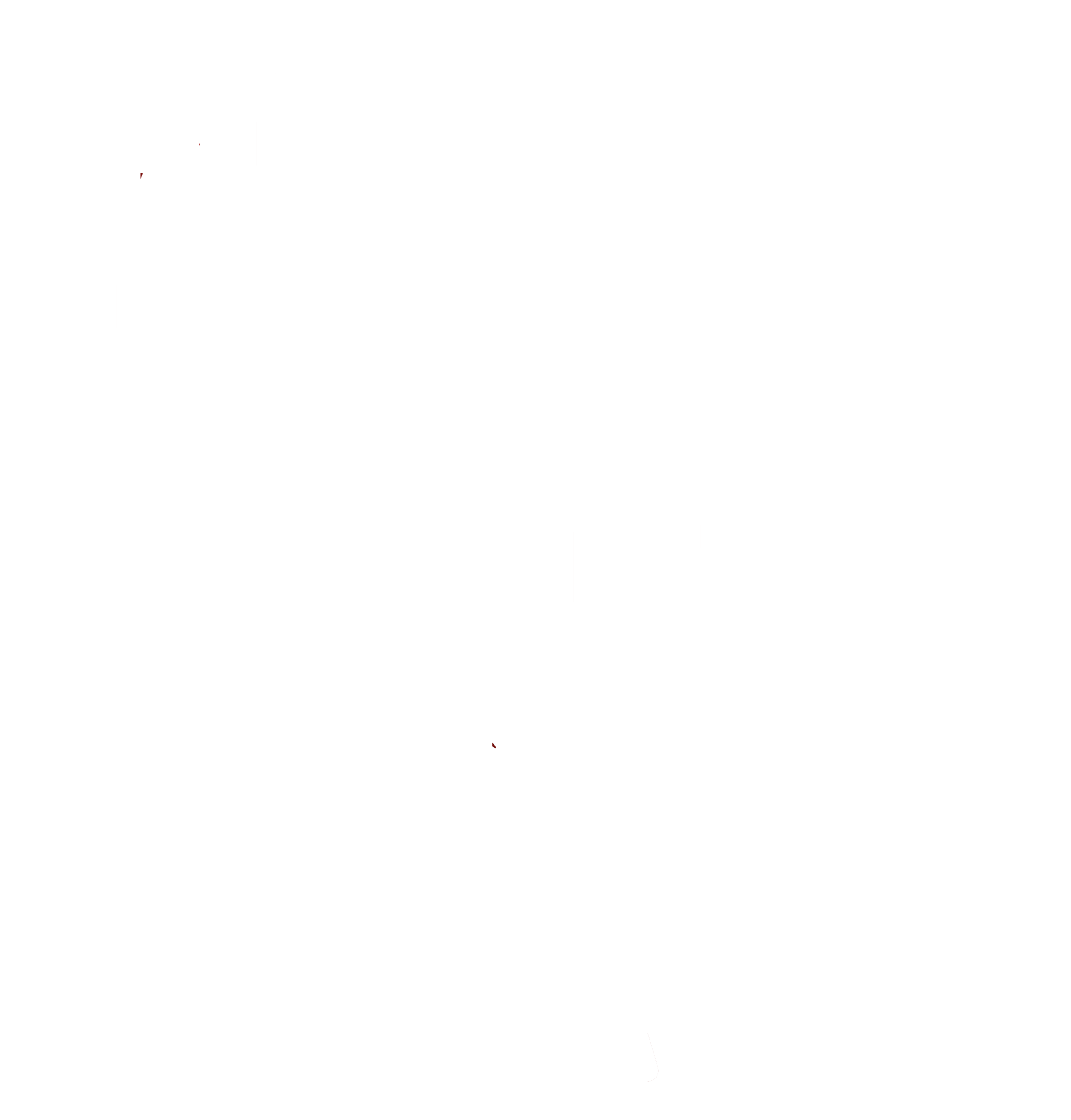 Sadeed Biz